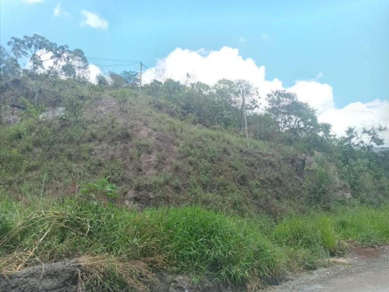 Terreno à venda, 10 hectares por  R$ 400.000 - Bacao - Itabirito/Minas Gerais