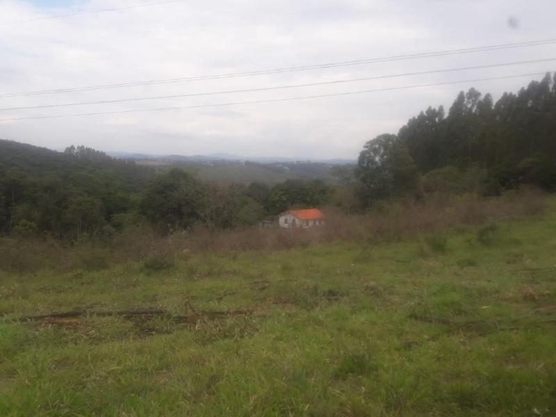 Sítio Com 10 Hectares No Macedo