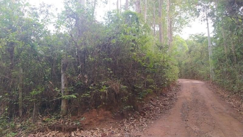 Terreno De 7,5ha No Bação!