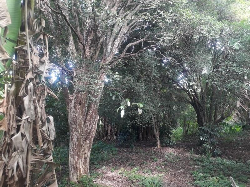 OTIMO TERRENO NA LOCALIDADE DO CATETE, NO DISTRITO DE SANTO ANTÔNIO DO LEITE